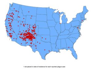 The First Time the Plague Broke Out in the US, Officials Tried to Deny It – History.com