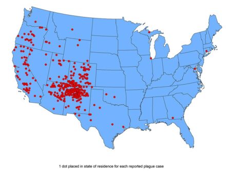 The First Time the Plague Broke Out in the US, Officials Tried to Deny It – History.com