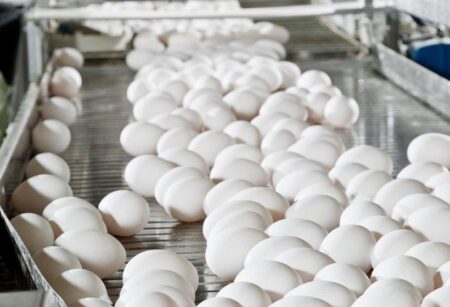 Egg supplier moves U.S. headquarters from San Francisco to Rogers – Talk Business & Politics