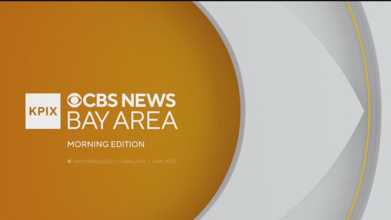 Kids aged 11, 13 among suspects arrested for “violent and prolific” organized retail crime in San Francisco – CBS News
