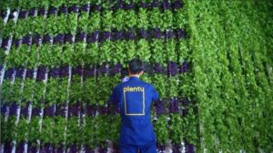 Brief: Plenty confirms closure of South San Francisco vertical farming facility – AgFunderNews