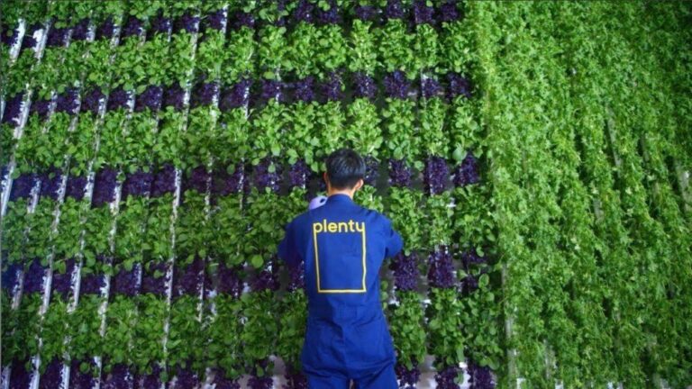 Brief: Plenty confirms closure of South San Francisco vertical farming facility – AgFunderNews