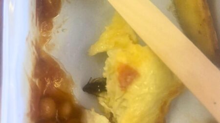 Passengers find cockroaches on recent Air India flight – USA Today