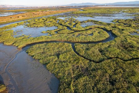 How Seasonal Shifts Transform Erosion and Accretion in a San Francisco Bay Marsh Seasonal erosion and accretion in a San Francisco Bay marsh – USGS (.gov)