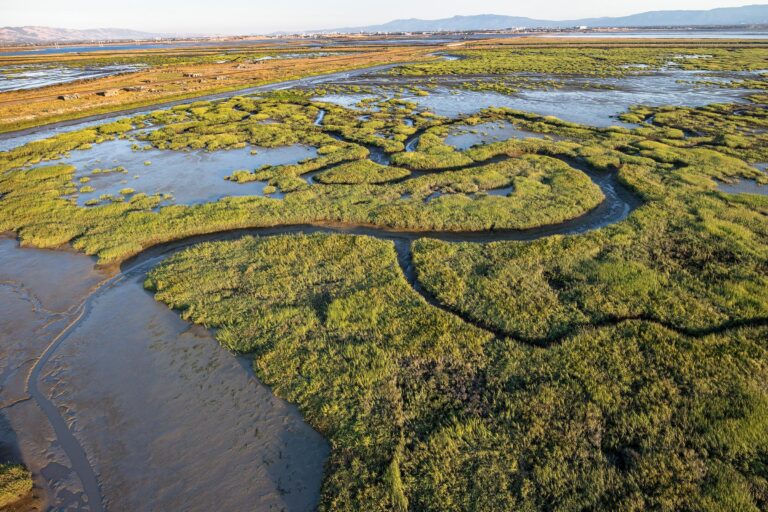 How Seasonal Shifts Transform Erosion and Accretion in a San Francisco Bay Marsh Seasonal erosion and accretion in a San Francisco Bay marsh – USGS (.gov)