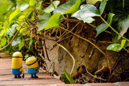 Inside the Dynamic Forces Shaping San Francisco’s Business Landscape Kevin Bianchi | People on The Move – San Francisco Business Times – The Business Journals