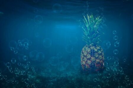 Grateful Dead’s Bob Weir to get open funeral service in San Francisco – USA Today