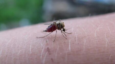 The Deadliest Infectious Disease Is Surging Across the US—What You Need to Know The world’s deadliest infectious disease is on the rise in the US – vox.com