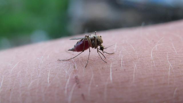 The Deadliest Infectious Disease Is Surging Across the US—What You Need to Know The world’s deadliest infectious disease is on the rise in the US – vox.com