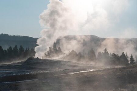 50 Nifty Finds #15: Exploring the Art of Politics in America’s National Parks 50 Nifty Finds #15: The Art of Politics – National Park Service (.gov)