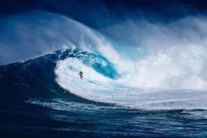 No moderation in tech moguls’ embrace of extreme politics – PressReader