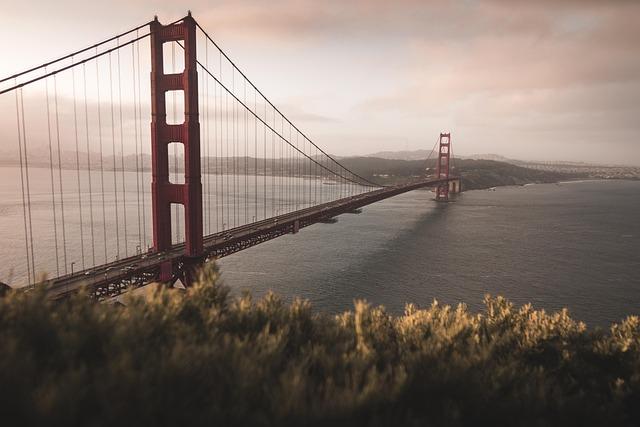 Wreckage of Sunken Boat Discovered Near Alcatraz in San Francisco Bay San Francisco Bay boat sinking wreckage found near Alcatraz – USA Today