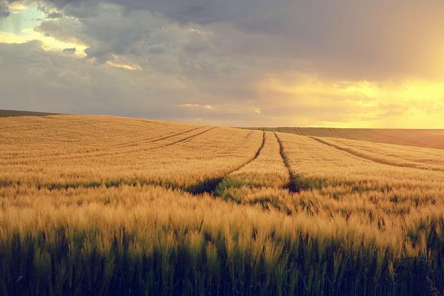 This Tiny Northeastern City Is the New Hotspot for Renters, Beating Out New York and San Francisco New York and San Francisco are some of the hottest markets for renters, but a tiny Northeastern city beat them both – Business Insider Africa